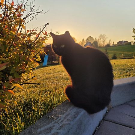 Domki Pod Lasem Villa Rokiciny Podhalanskie Exteriör bild