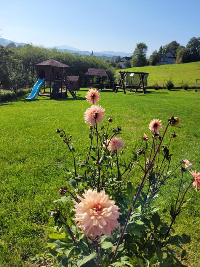 Domki Pod Lasem Villa Rokiciny Podhalanskie Exteriör bild