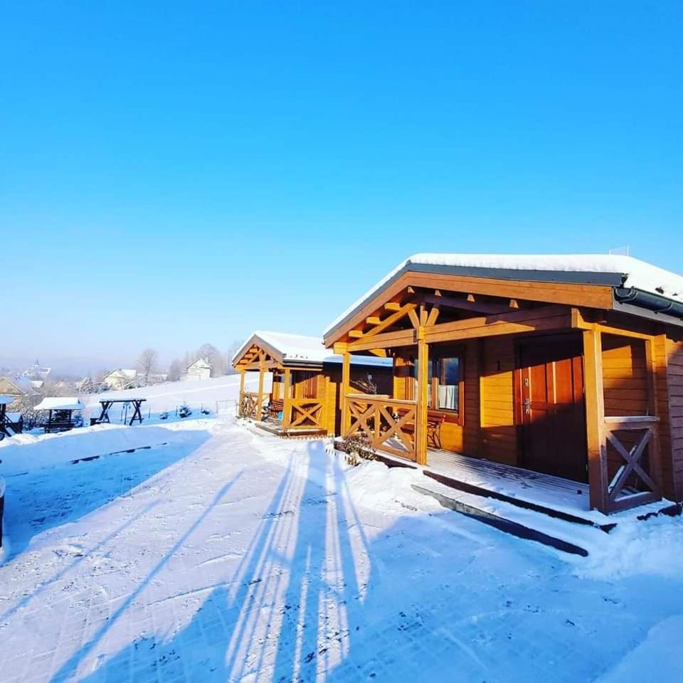 Domki Pod Lasem Villa Rokiciny Podhalanskie Exteriör bild