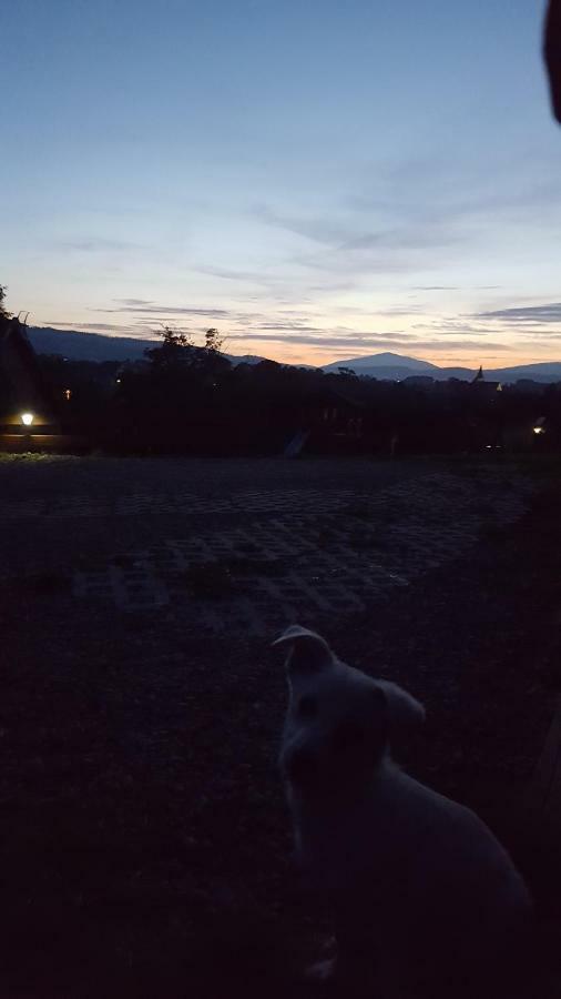 Domki Pod Lasem Villa Rokiciny Podhalanskie Exteriör bild